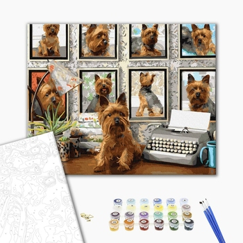 Картина по номерам Тварини, птахи та риби - Улюбленець йоркширский терьер