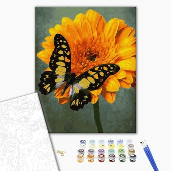 Картина по номерам Тварини, птахи та риби - Метелик на маргаритці