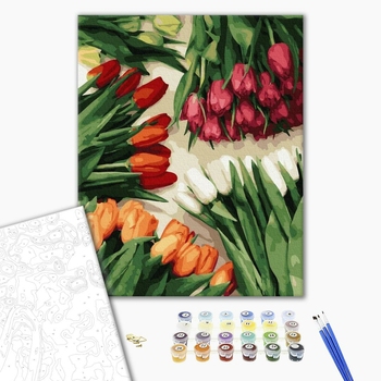 Картина по номерам Квіти - Різнобарвні тюльпани