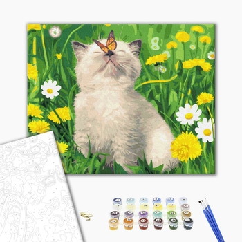 Картина по номерам Тварини, птахи та риби - Котик з метеликом на носі