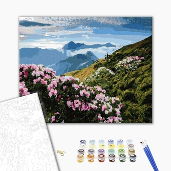 Картина по номерам Природа - Квітковий вид на гори