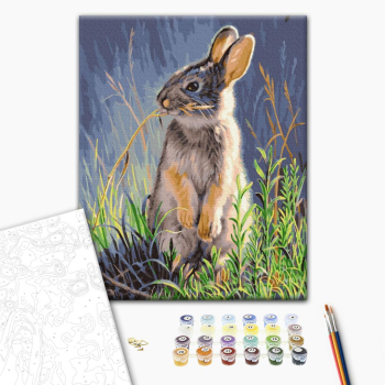 Картина по номерам Тварини, птахи та риби - Лісовий заєць