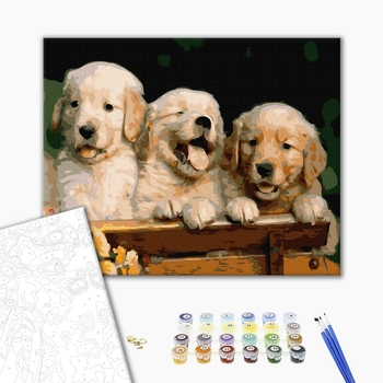 Картина по номерам Тварини, птахи та риби - Милі собачки