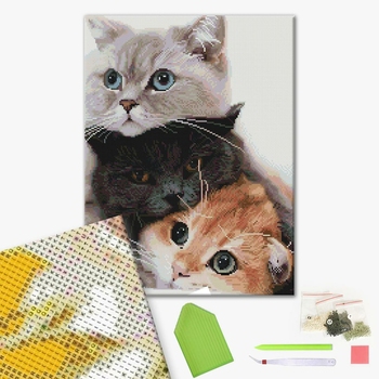 Лиц_Алмазка - Котики-муркотіки