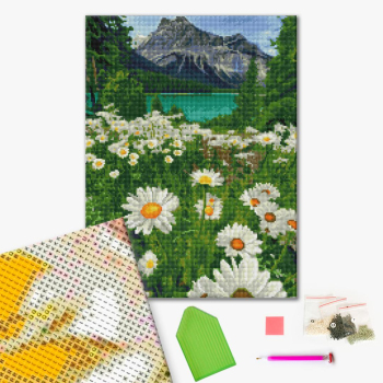 Алмазна мозаїка 40х50 - Підніжжя гір