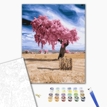 Картина по номерам Пейзажі - Диво в пустелі