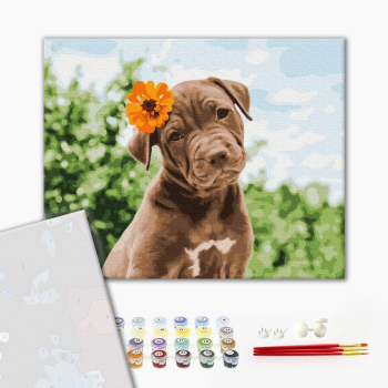 Картина по номерам Преміум картини - Собачка милий романтик