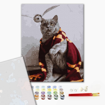 Картина по номерам Преміум картини - Котик ловець снітчу