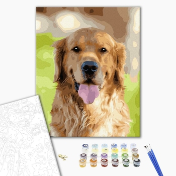 Картина по номерам Тварини, птахи та риби - Золотий ретрівер