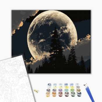 Картина по номерам Природа - Лісове затемнення