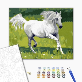 Картина по номерам Тварини, птахи та риби - Білий скакун
