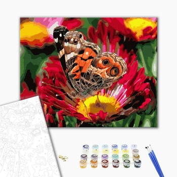 Картина по номерам Тварини, птахи та риби - Метелик в макро зйомці