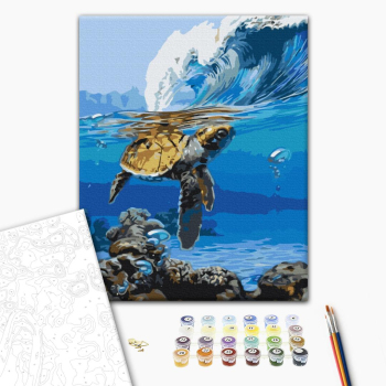 В ожидании серфера