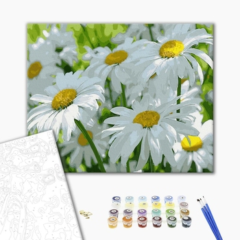 Картина по номерам Квіти - Ромашки в тіні