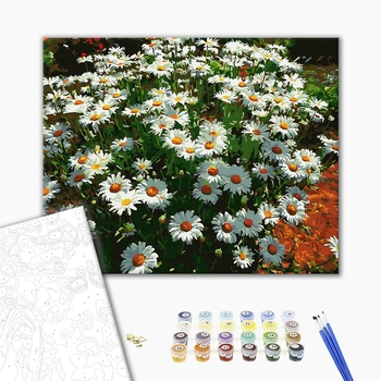 Картина по номерам Квіти - Ромашки в саду