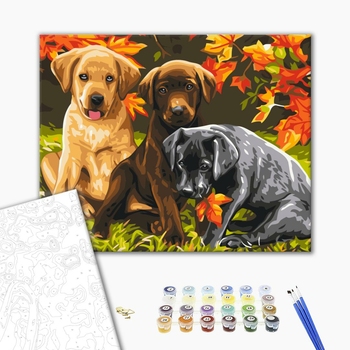 Картина по номерам Тварини, птахи та риби - Три цуценя