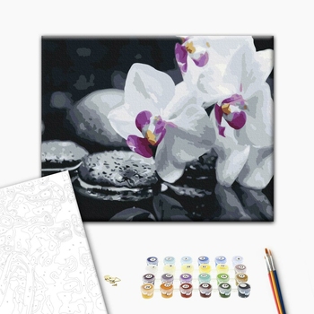 Квіти дзену