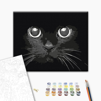 Взгляд ночи