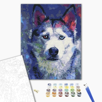 Картина по номерам Тварини, птахи та риби - Погляд Хаскі