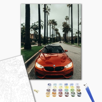 Картина по номерам Чоловічі - BMW на вулиці Каліфорнії