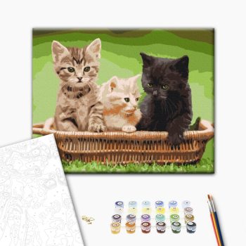 Котята в корзине