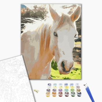 Картина по номерам Тварини, птахи та риби - Білий кінь