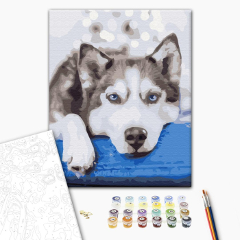 Хаски в ожидании