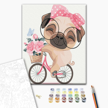 Мопс на велопрогулке