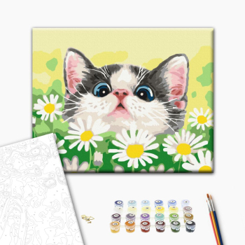 Картина по номерам Тварини, птахи та риби - Котик в ромашках