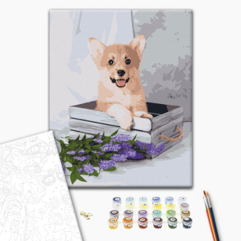 Картина по номерам Тварини, птахи та риби - Грайливий коргі