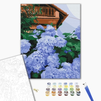 Гортензия у дома