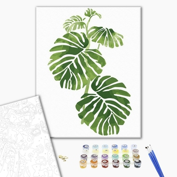 Картина по номерам Квіти - Листя монстери