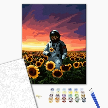 Картина по номерам Космос - Поле в космосі