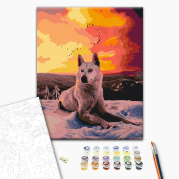 Картина по номерам Тварини, птахи та риби - Арктический волк