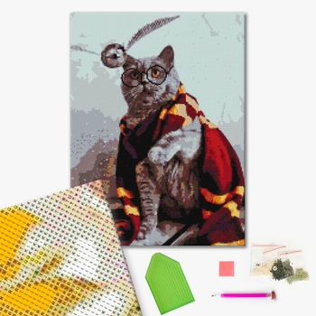 Котик ловець снітчу