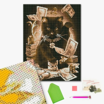 Алмазна мозаїка 40х50 - Грошовий кіт