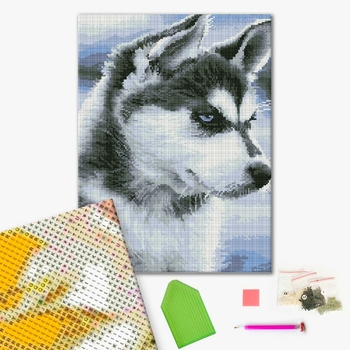 Алмазна мозаїка 40х50 - Щеня Хаскі