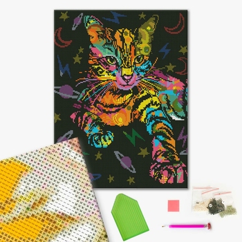 Алмазна мозаїка 40х50 - Космічний кіт