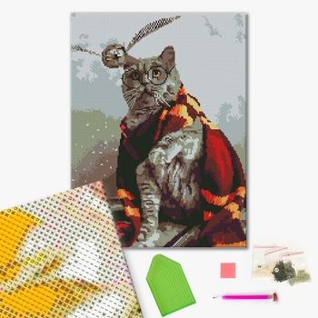 Алмазна мозаїка 40х50 - Котик ловець снітчу