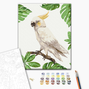 Картина по номерам Тварини, птахи та риби - Білий какаду