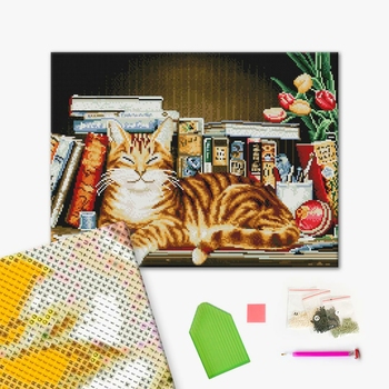 Алмазна мозаїка 40х50 - Кіт на книжковій полиці