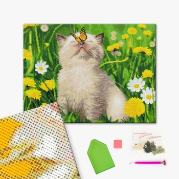 Алмазна мозаїка 40х50 - Котик з метеликом на носі