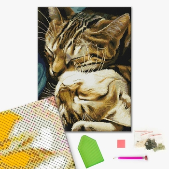 Алмазна мозаїка 40х50 - Сплячі котики