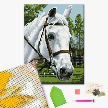 Алмазна мозаїка 40х50 - Красень Буцифал