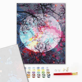 Картина по номерам Преміум картини - З видом на місяць