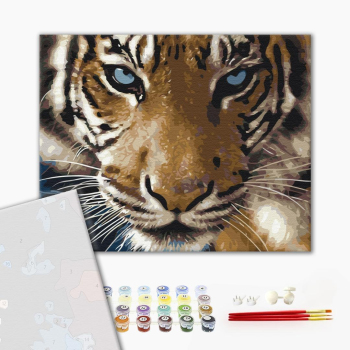 Картина по номерам Преміум картини - Погляд тигра
