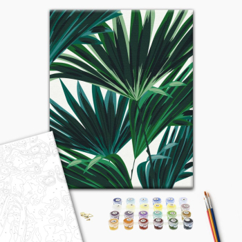 Тропіки № 2