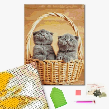 Алмазна мозаїка 40х50 - Британські кошенята в корзинці