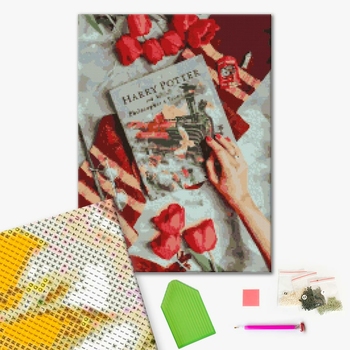 Алмазна мозаїка 40х50 - Знайомство з магічним світом Гаррі