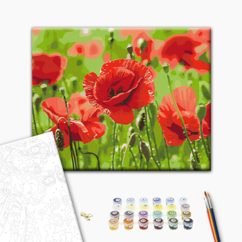 Червоні маки